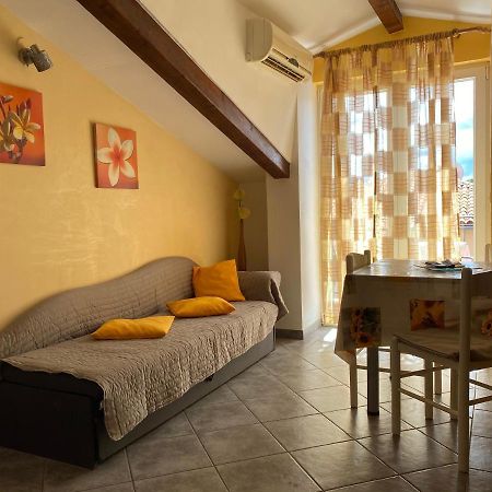Novigrad Istria Apartments Tajana מראה חיצוני תמונה