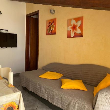 Novigrad Istria Apartments Tajana מראה חיצוני תמונה